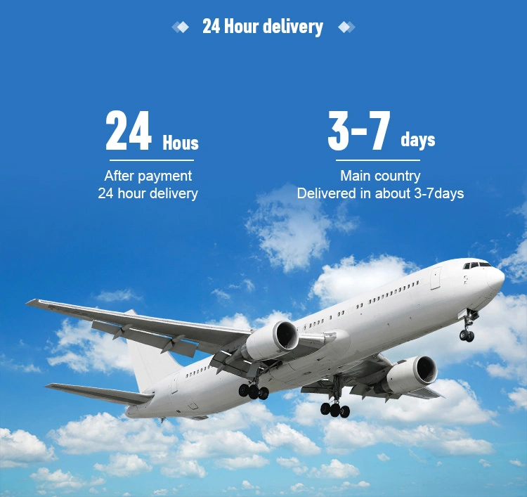 The Cheapest Transportation Agent in China Szperfect Logistics and The Fastest Door-to-Door Sea Freight to Austria Best Logistics Service